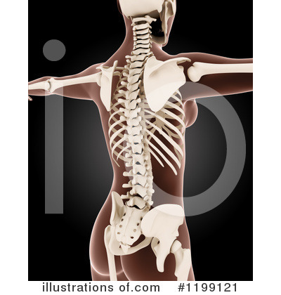 Royalty-Free (RF) Anatomy Clipart Illustration by KJ Pargeter - Stock Sample #1199121