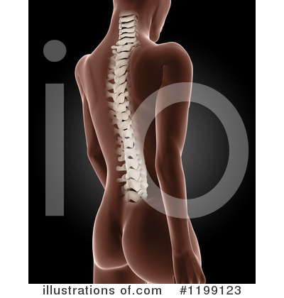 Royalty-Free (RF) Anatomy Clipart Illustration by KJ Pargeter - Stock Sample #1199123
