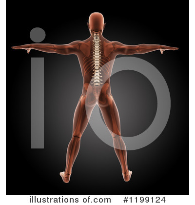 Royalty-Free (RF) Anatomy Clipart Illustration by KJ Pargeter - Stock Sample #1199124