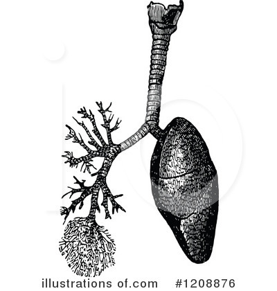 Royalty-Free (RF) Anatomy Clipart Illustration by Prawny Vintage - Stock Sample #1208876