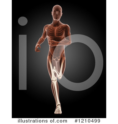 Royalty-Free (RF) Anatomy Clipart Illustration by KJ Pargeter - Stock Sample #1210499