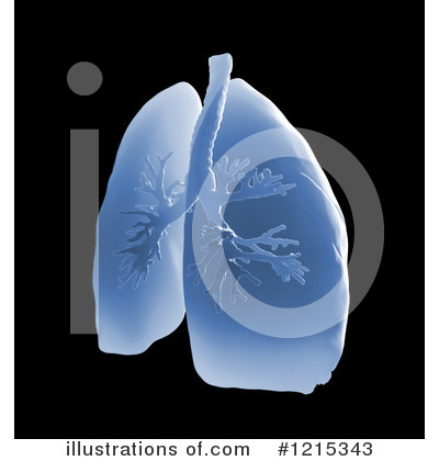 Lungs Clipart #1215343 by Mopic