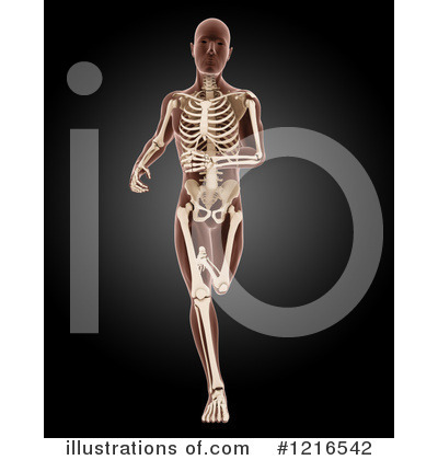 Royalty-Free (RF) Anatomy Clipart Illustration by KJ Pargeter - Stock Sample #1216542