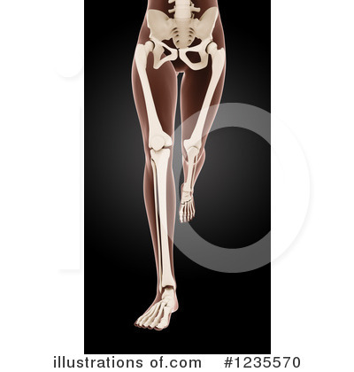 Royalty-Free (RF) Anatomy Clipart Illustration by KJ Pargeter - Stock Sample #1235570