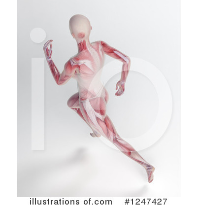 Royalty-Free (RF) Anatomy Clipart Illustration by Mopic - Stock Sample #1247427