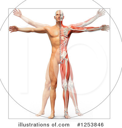 Royalty-Free (RF) Anatomy Clipart Illustration by Mopic - Stock Sample #1253846