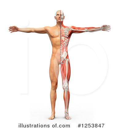 Royalty-Free (RF) Anatomy Clipart Illustration by Mopic - Stock Sample #1253847