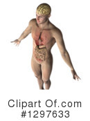 Anatomy Clipart #1297633 by KJ Pargeter