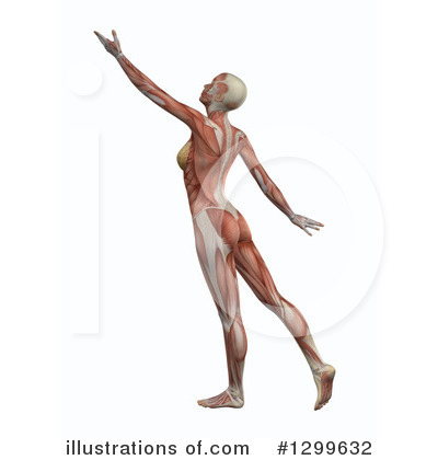 Royalty-Free (RF) Anatomy Clipart Illustration by KJ Pargeter - Stock Sample #1299632