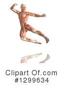 Anatomy Clipart #1299634 by KJ Pargeter