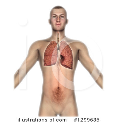 Royalty-Free (RF) Anatomy Clipart Illustration by KJ Pargeter - Stock Sample #1299635