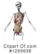 Anatomy Clipart #1299638 by KJ Pargeter