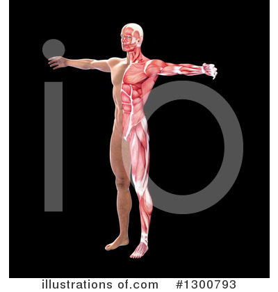 Royalty-Free (RF) Anatomy Clipart Illustration by Mopic - Stock Sample #1300793