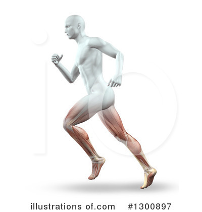 Royalty-Free (RF) Anatomy Clipart Illustration by KJ Pargeter - Stock Sample #1300897