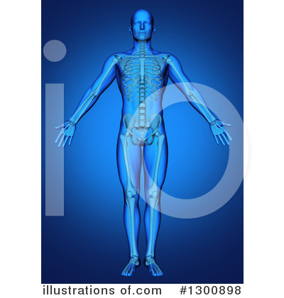 Royalty-Free (RF) Anatomy Clipart Illustration by KJ Pargeter - Stock Sample #1300898
