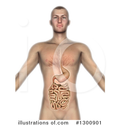 Intestines Clipart #1300901 by KJ Pargeter