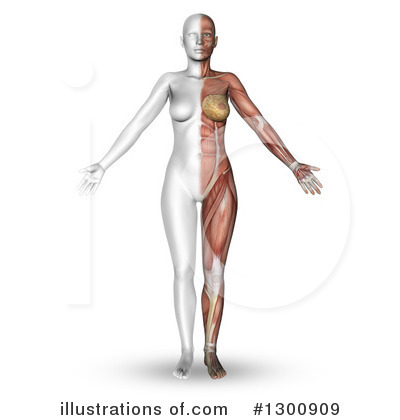 Royalty-Free (RF) Anatomy Clipart Illustration by KJ Pargeter - Stock Sample #1300909