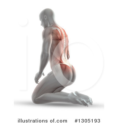 Royalty-Free (RF) Anatomy Clipart Illustration by KJ Pargeter - Stock Sample #1305193