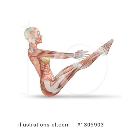 Anatomy Clipart #1305903 by KJ Pargeter