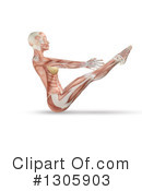 Anatomy Clipart #1305903 by KJ Pargeter