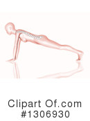 Anatomy Clipart #1306930 by KJ Pargeter
