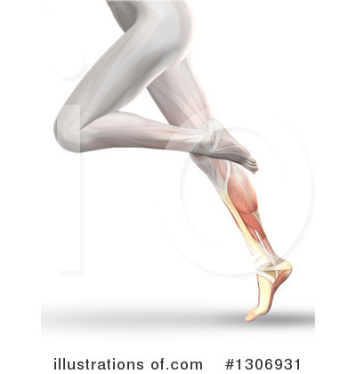 Royalty-Free (RF) Anatomy Clipart Illustration by KJ Pargeter - Stock Sample #1306931