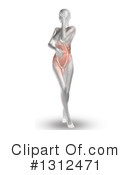 Anatomy Clipart #1312471 by KJ Pargeter