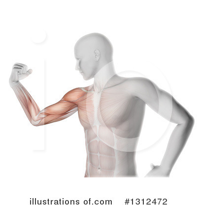 Royalty-Free (RF) Anatomy Clipart Illustration by KJ Pargeter - Stock Sample #1312472