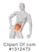 Anatomy Clipart #1312473 by KJ Pargeter