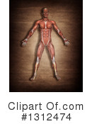 Anatomy Clipart #1312474 by KJ Pargeter