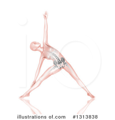 Royalty-Free (RF) Anatomy Clipart Illustration by KJ Pargeter - Stock Sample #1313838