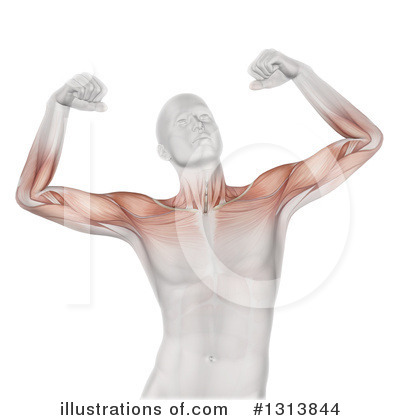 Royalty-Free (RF) Anatomy Clipart Illustration by KJ Pargeter - Stock Sample #1313844