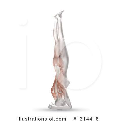 Head Stand Clipart #1314418 by KJ Pargeter