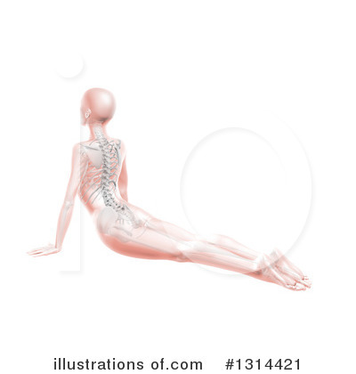 Royalty-Free (RF) Anatomy Clipart Illustration by KJ Pargeter - Stock Sample #1314421