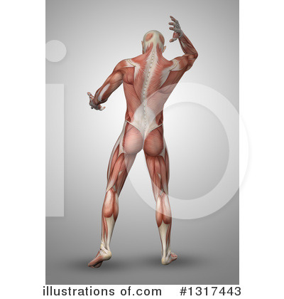 Royalty-Free (RF) Anatomy Clipart Illustration by KJ Pargeter - Stock Sample #1317443