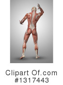 Anatomy Clipart #1317443 by KJ Pargeter