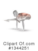 Anatomy Clipart #1344251 by KJ Pargeter