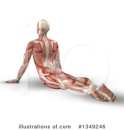 Royalty-Free (RF) Anatomy Clipart Illustration by KJ Pargeter - Stock Sample #1349246