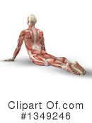 Anatomy Clipart #1349246 by KJ Pargeter