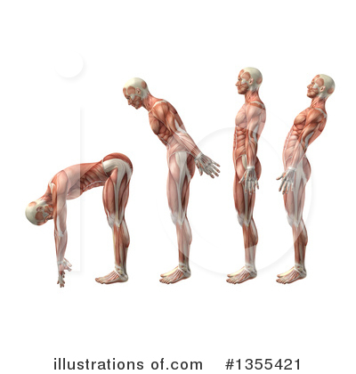 Royalty-Free (RF) Anatomy Clipart Illustration by KJ Pargeter - Stock Sample #1355421
