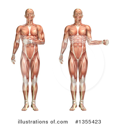 Royalty-Free (RF) Anatomy Clipart Illustration by KJ Pargeter - Stock Sample #1355423