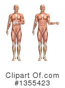 Anatomy Clipart #1355423 by KJ Pargeter