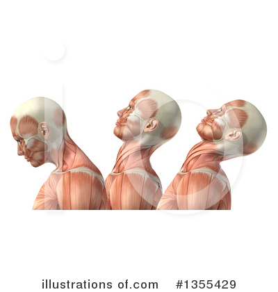 Royalty-Free (RF) Anatomy Clipart Illustration by KJ Pargeter - Stock Sample #1355429