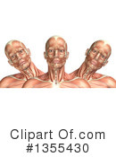 Anatomy Clipart #1355430 by KJ Pargeter