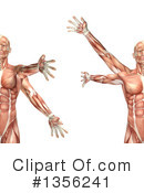 Anatomy Clipart #1356241 by KJ Pargeter