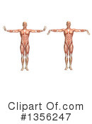 Anatomy Clipart #1356247 by KJ Pargeter