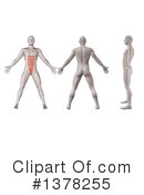 Anatomy Clipart #1378255 by KJ Pargeter