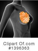 Anatomy Clipart #1396363 by KJ Pargeter