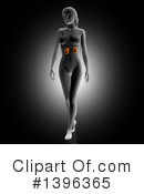 Anatomy Clipart #1396365 by KJ Pargeter