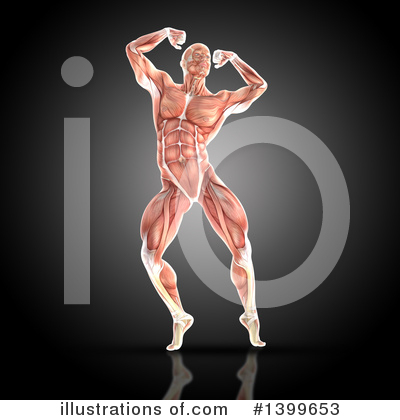 Royalty-Free (RF) Anatomy Clipart Illustration by KJ Pargeter - Stock Sample #1399653